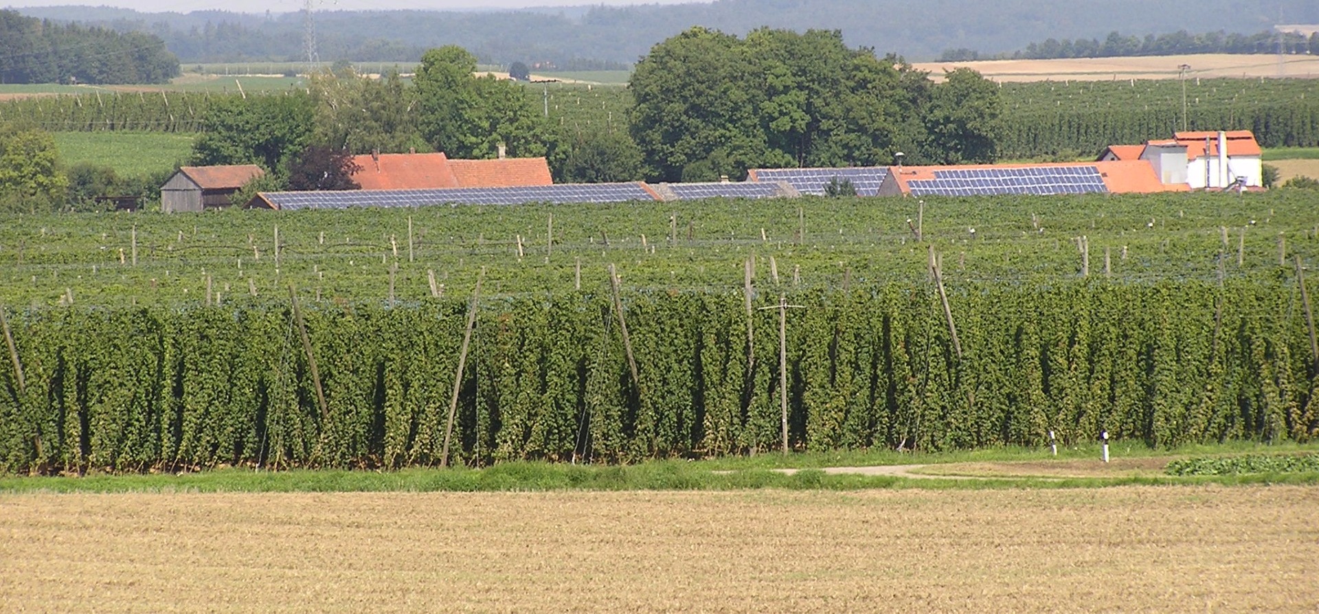 en-Německé odrůdy :: Brelex